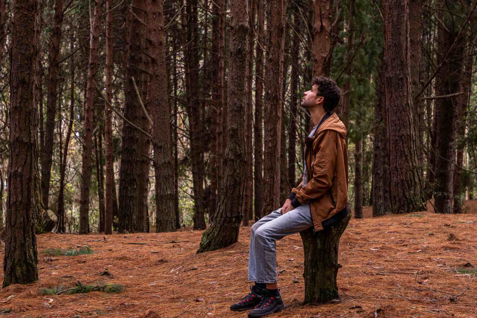  Sendero Quebrada La Vieja con hombre joven sentado en tronco en medio de árboles de color rojizo.
