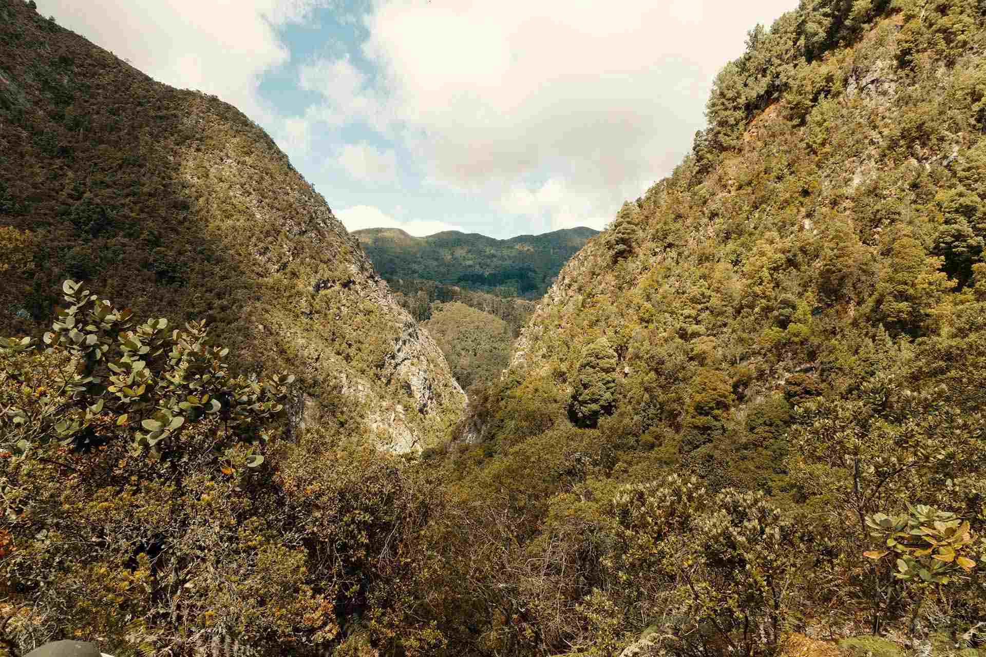 Sendero San Francisco - Vicachá vista entre dos montañas hacia otra montaña. Gran vegetación.