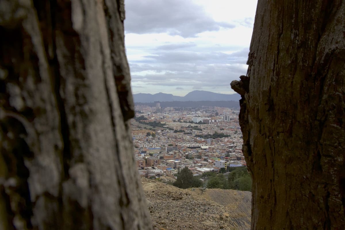 Vista de la ciuad entre dos troncos de madera.
