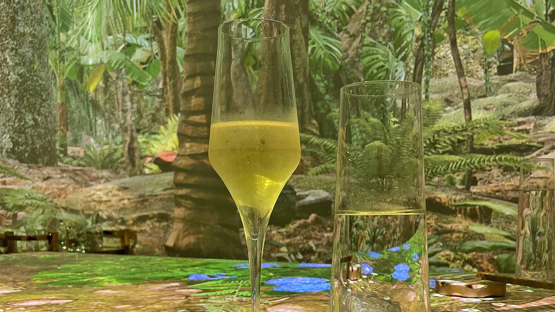 Dos copas de bebidas en un entorno de selva exuberante, con una atmósfera tropical y relajante.